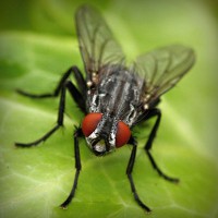 /album/escuela-de-conduccion-de-o%c3%b1a/photolia-a01-jpg/