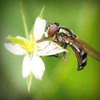 /album/escuela-de-conduccion-de-o%c3%b1a/photolia-a02-jpg/
