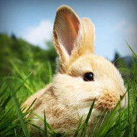 /album/escuela-de-conduccion-de-o%c3%b1a/photolia-a03-jpg/