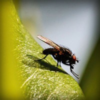 /album/escuela-de-conduccion-de-o%c3%b1a/photolia-a04-jpg/