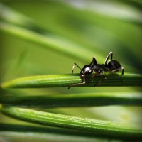 /album/escuela-de-conduccion-de-o%c3%b1a/photolia-a05-jpg/