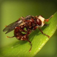 /album/escuela-de-conduccion-de-o%c3%b1a/photolia-a06-jpg/