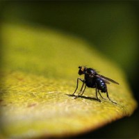 /album/escuela-de-conduccion-de-o%c3%b1a/photolia-a07-jpg/