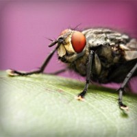 /album/escuela-de-conduccion-de-o%c3%b1a/photolia-a08-jpg/